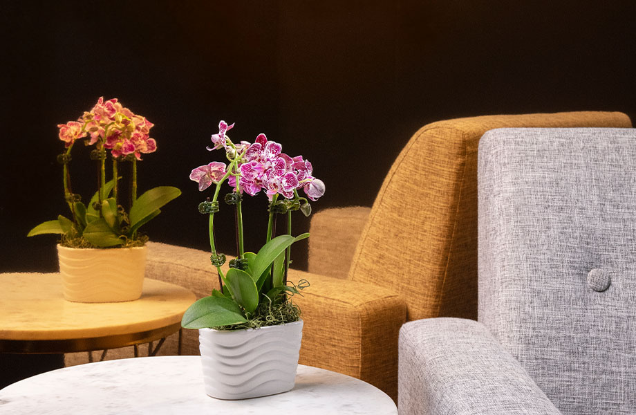 M9426 Polished Copper metal laminate walls in lobby with chair and flower